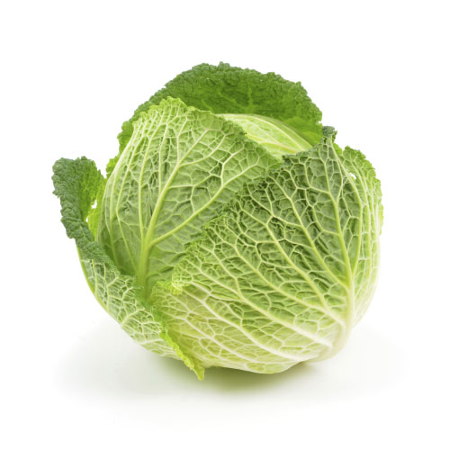 product-cabbage