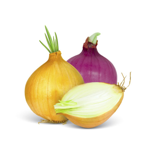 product-onions